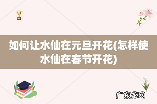怎样使水仙在春节开花 如何让水仙在元旦开花