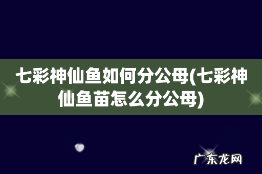 七彩神仙鱼苗怎么分公母 七彩神仙鱼如何分公母