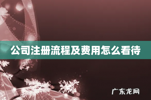 公司注册流程及费用怎么看待