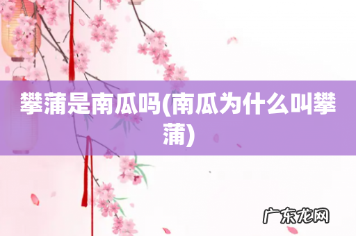 南瓜为什么叫攀蒲 攀蒲是南瓜吗