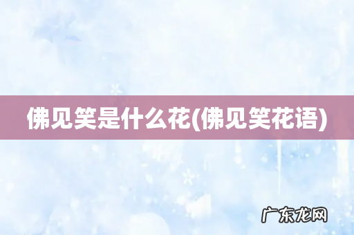 佛见笑花语 佛见笑是什么花