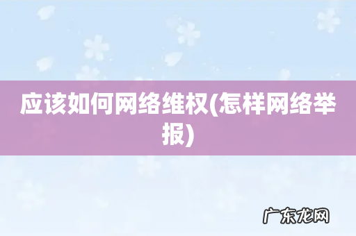 怎样网络举报 应该如何网络维权
