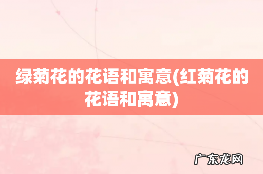 红菊花的花语和寓意 绿菊花的花语和寓意