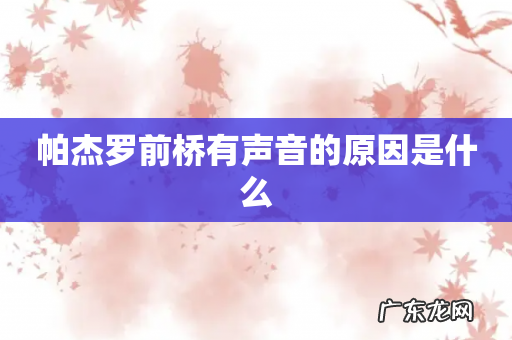 帕杰罗前桥有声音的原因是什么