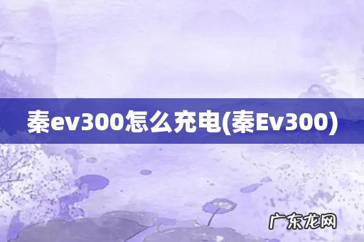 秦Ev300 秦ev300怎么充电