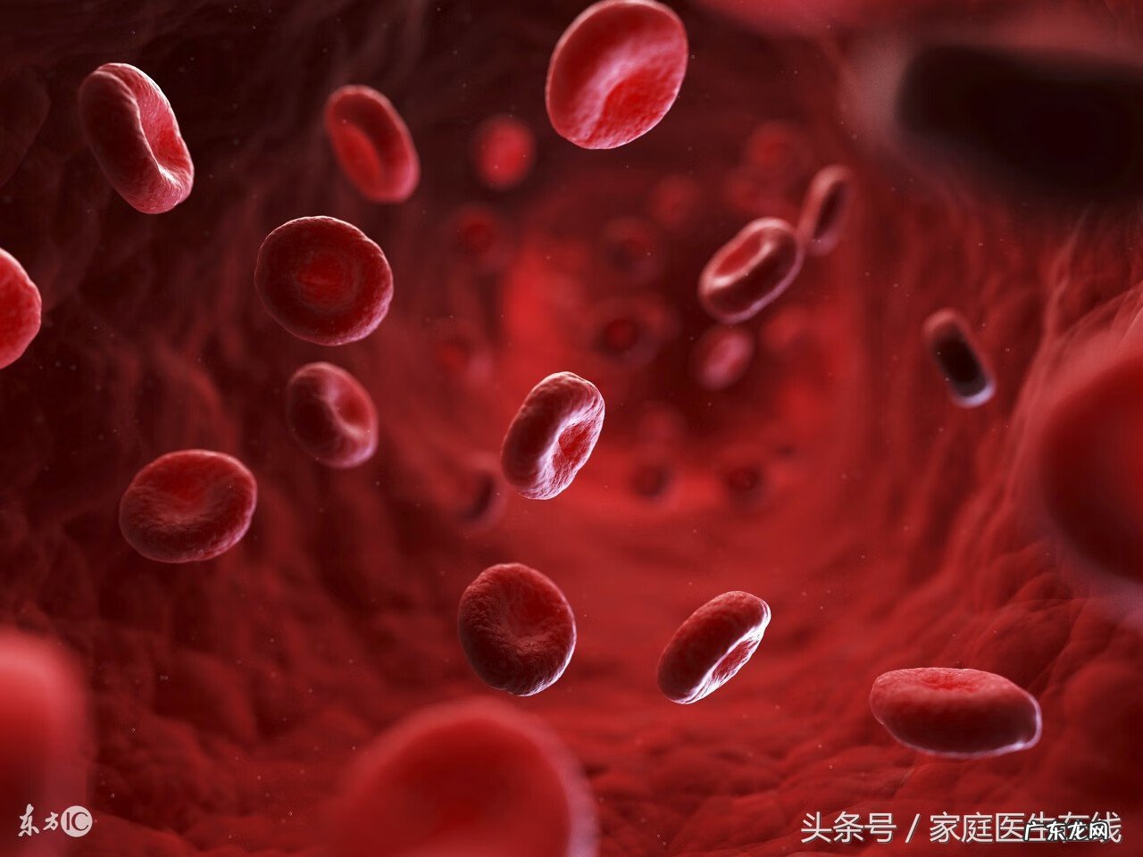 黑豆有什么营养价值和功效 红豆跟黑豆的营养价值