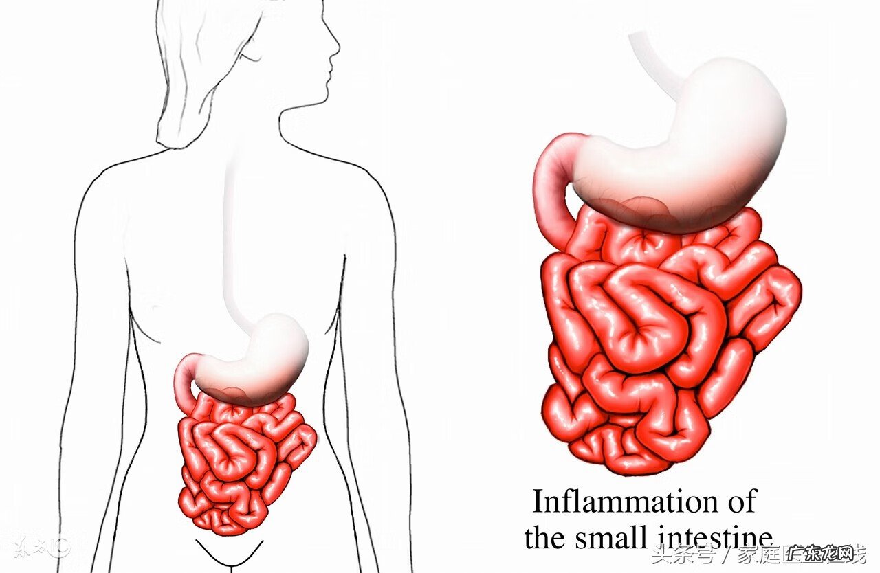 黑豆有什么营养价值和功效 红豆跟黑豆的营养价值