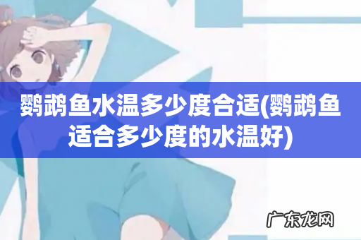 鹦鹉鱼适合多少度的水温好 鹦鹉鱼水温多少度合适