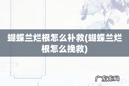 蝴蝶兰烂根怎么挽救 蝴蝶兰烂根怎么补救