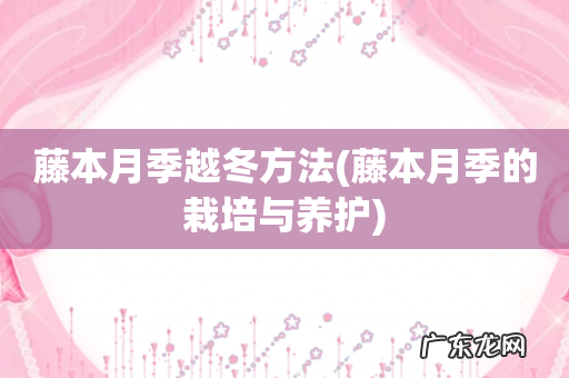 藤本月季的栽培与养护 藤本月季越冬方法