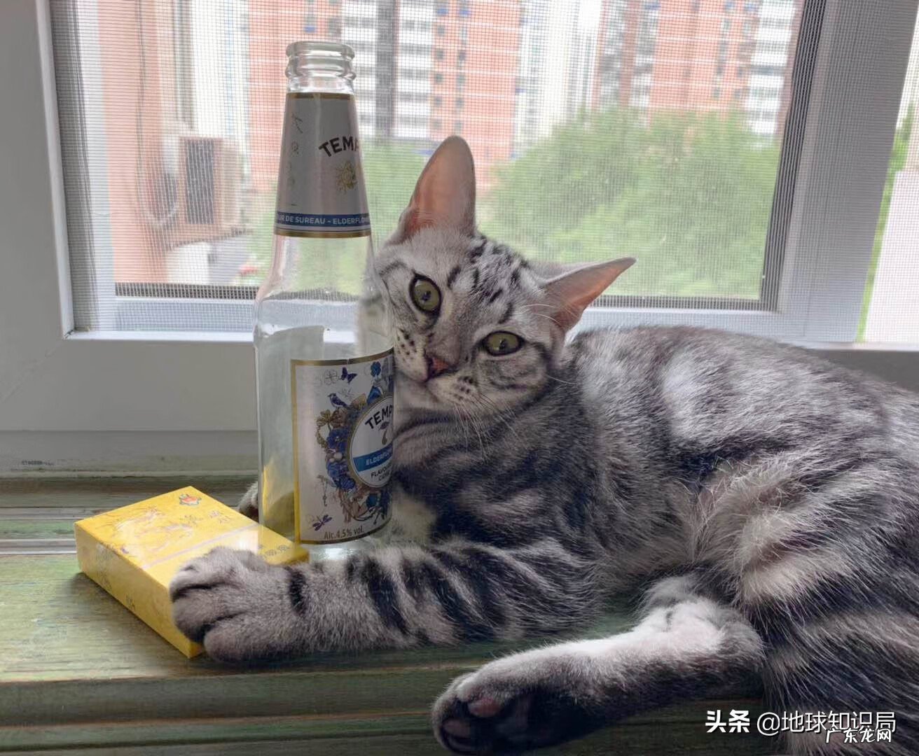 意虎之食人的意思 风水中虎地食人