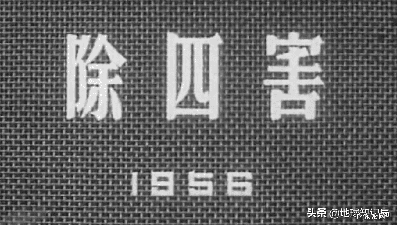 意虎之食人的意思 风水中虎地食人