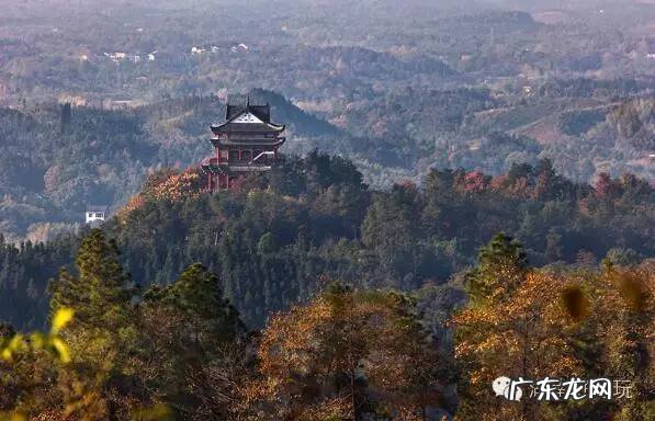风水朱雀玄武指的是什么 玄武朱雀青龙方位风水