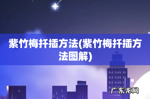 紫竹梅扦插方法图解 紫竹梅扦插方法