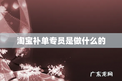 淘宝补单专员是做什么的