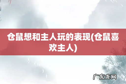 仓鼠喜欢主人 仓鼠想和主人玩的表现