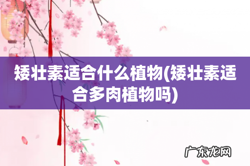 矮壮素适合多肉植物吗 矮壮素适合什么植物