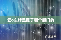 云o车牌是属于哪个部门的