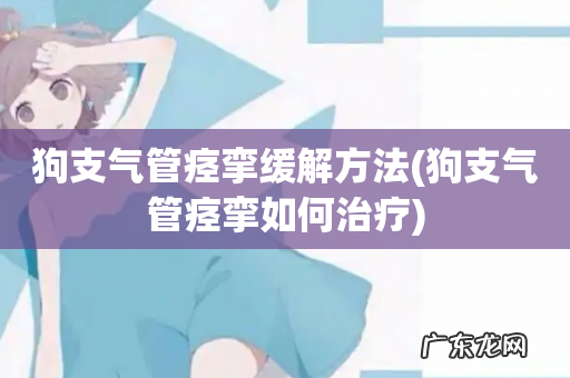 狗支气管痉挛如何治疗 狗支气管痉挛缓解方法