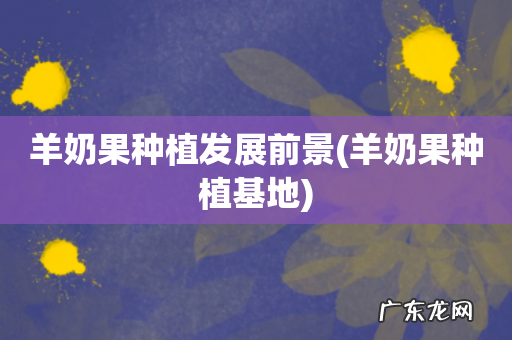 羊奶果种植基地 羊奶果种植发展前景