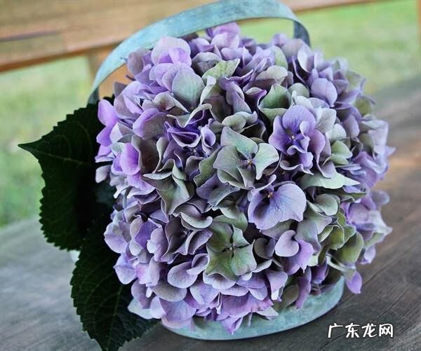 记录心情的文案 写心情