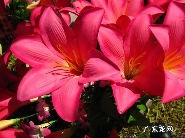 记录心情的文案 写心情