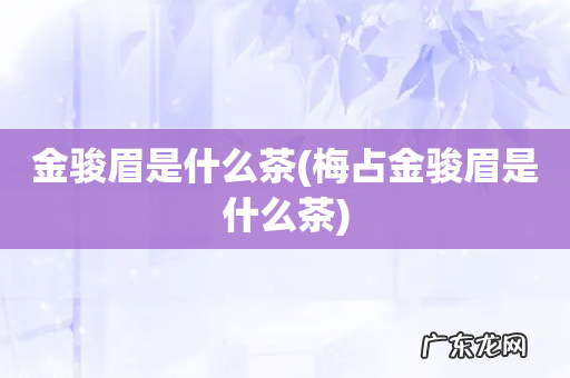 梅占金骏眉是什么茶 金骏眉是什么茶