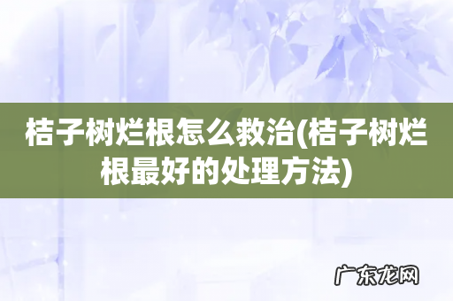 桔子树烂根最好的处理方法 桔子树烂根怎么救治