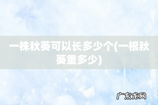 一根秋葵重多少 一株秋葵可以长多少个