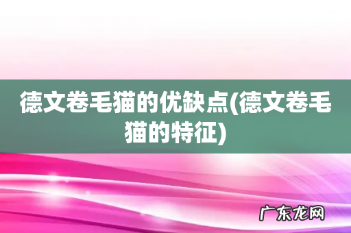 德文卷毛猫的特征 德文卷毛猫的优缺点