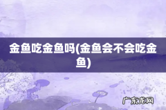 金鱼会不会吃金鱼 金鱼吃金鱼吗