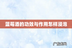 蓝莓酒的功效与作用怎样浸泡