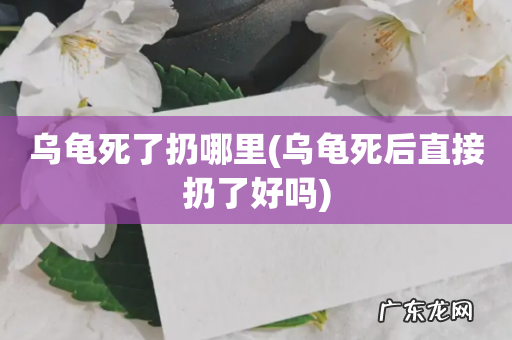 乌龟死后直接扔了好吗 乌龟死了扔哪里