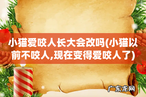 小猫以前不咬人,现在变得爱咬人了 小猫爱咬人长大会改吗