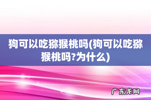 狗可以吃猕猴桃吗?为什么 狗可以吃猕猴桃吗