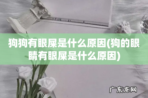 狗的眼睛有眼屎是什么原因 狗狗有眼屎是什么原因