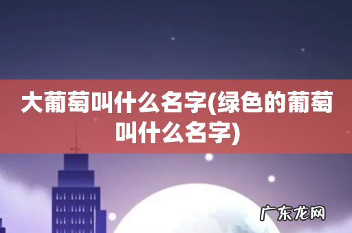 绿色的葡萄叫什么名字 大葡萄叫什么名字
