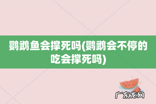 鹦鹉会不停的吃会撑死吗 鹦鹉鱼会撑死吗