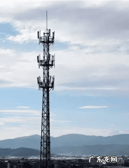 家里出现蜈蚣风水 蜈蚣的风水方面是什么