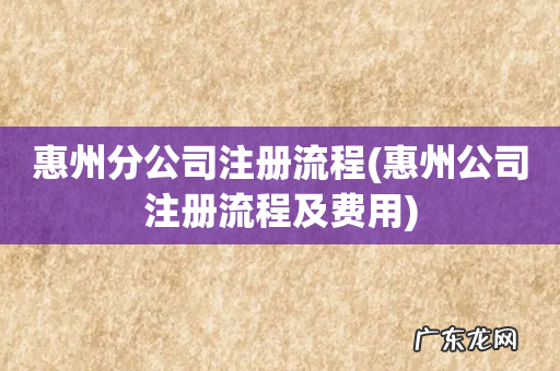 惠州公司注册流程及费用 惠州分公司注册流程