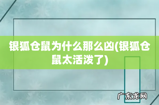 银狐仓鼠太活泼了 银狐仓鼠为什么那么凶