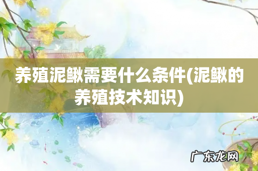 泥鳅的养殖技术知识 养殖泥鳅需要什么条件