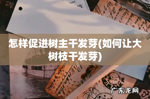 如何让大树枝干发芽 怎样促进树主干发芽