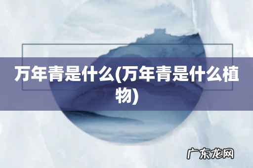 万年青是什么植物 万年青是什么