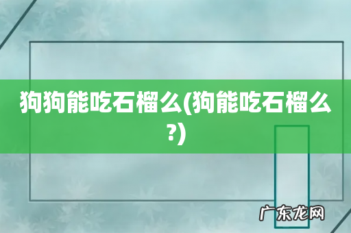 狗能吃石榴么? 狗狗能吃石榴么