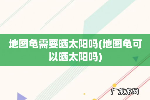 地图龟可以晒太阳吗 地图龟需要晒太阳吗
