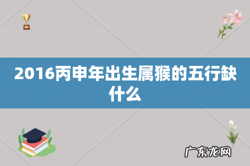 2016丙申年出生属猴的五行缺什么