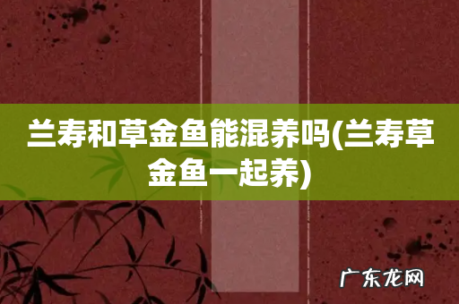 兰寿草金鱼一起养 兰寿和草金鱼能混养吗