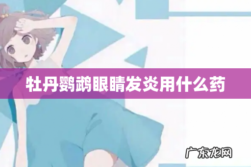 牡丹鹦鹉眼睛发炎用什么药