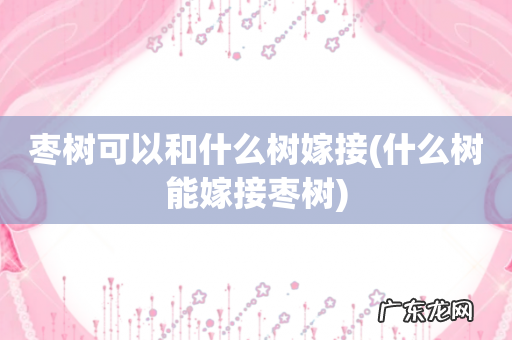 什么树能嫁接枣树 枣树可以和什么树嫁接